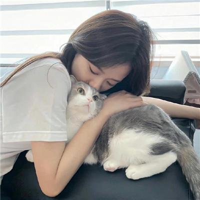 狗狗间谍